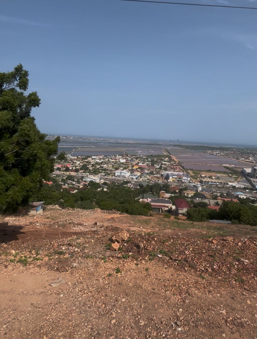 mccharty hills
